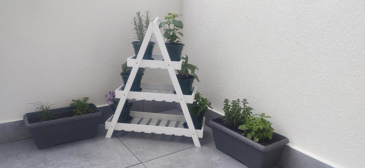 Le Quattro Stagioni Apartment Левико Терме Екстериор снимка
